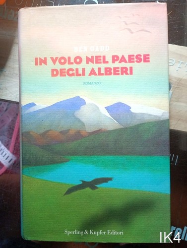 Volo nel paese degli - paese,