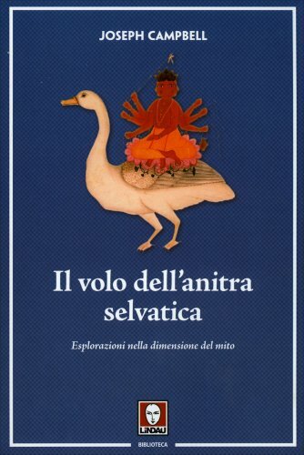 Libro volo dell - libro, dell'anitra