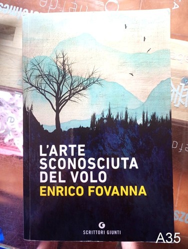Arte sconosciuta del volo di - sconosciuta,