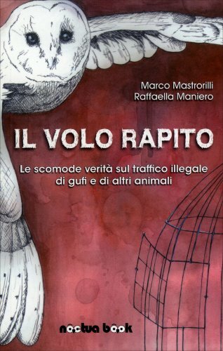Libro volo rapito verità - il,